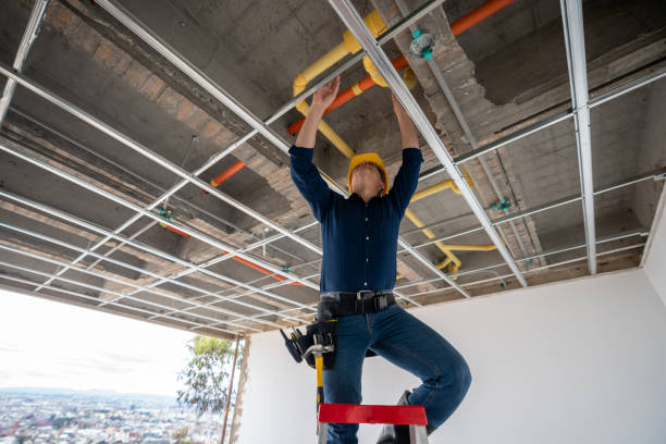 Best 24-Hour Plumber Near Me  in Third Lake, IL