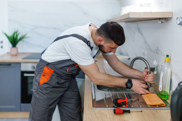 Best Plumbing Services Near Me  in Third Lake, IL