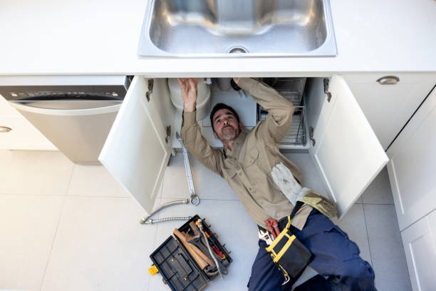 Best Best Plumbers Near Me  in Third Lake, IL