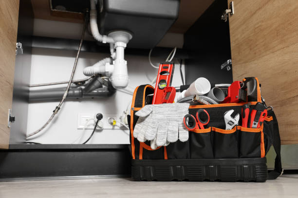Best 24-Hour Plumber Near Me  in Third Lake, IL