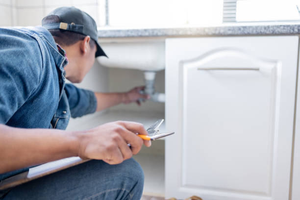 Best Shower Repair Services  in Third Lake, IL