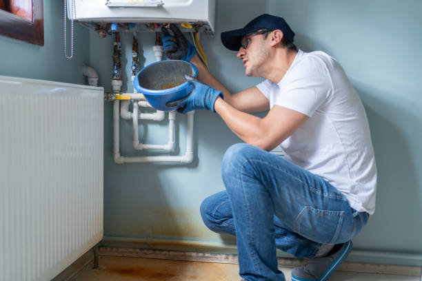 Best Drain Cleaning Services  in Third Lake, IL